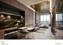 Irwell Hill Residences (D9), Apartment #460946791